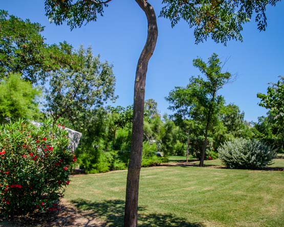 Emplacement camping Languedoc Roussillon bord de mer