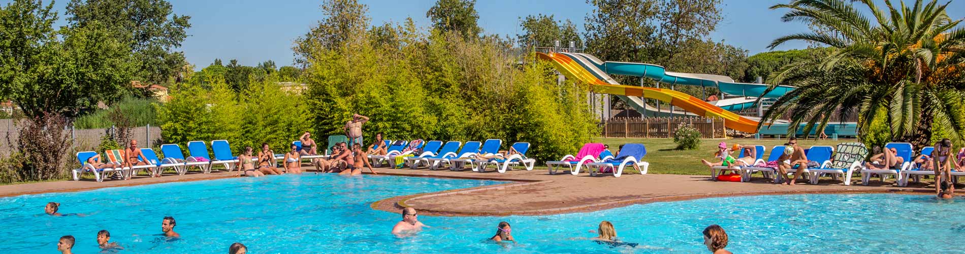 camping argeles bord de mer avec piscine