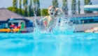 Camping familial avec piscine Argelès sur mer