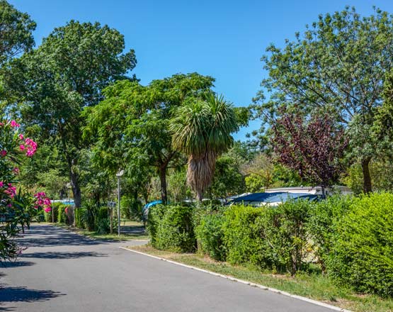 Emplacement camping Argelès